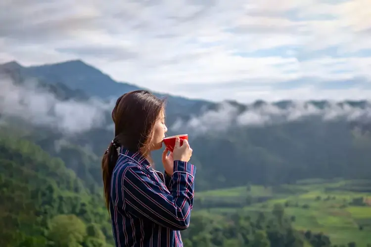 kuliner puncak saka