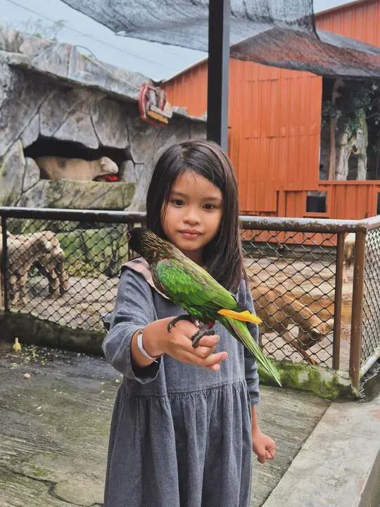 wahana permainan anak di suraloka zoo