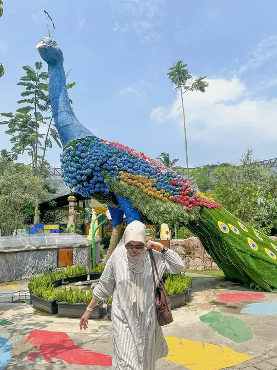gambar ibarbo park